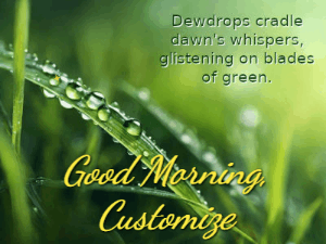 GIF: Morning Dew on Grass