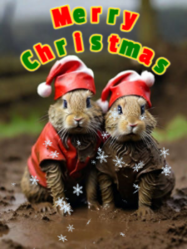 merry christmas ya filthy animal gif with cute rabbits
