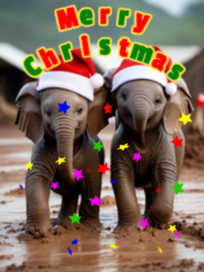 merry christmas ya filthy animal with cute baby elephants