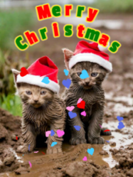 merry christmas ya filthy animal with cute kittens