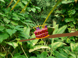 Cute, funny, and silly, this Happy birthday animated gif shows 3 sloths popping in to deliver YOUR birthday message.