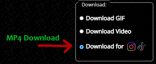 screen cap of mp4 download button
