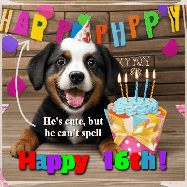 Happy Birthday Age 16 GIF, 16th Birthday GIF