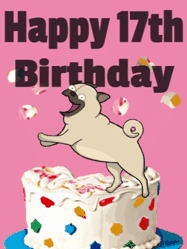 Happy Birthday Age 17 GIF, 17th Birthday GIF