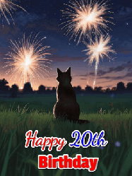 Happy Birthday Age 20 GIF, 20th Birthday GIF: An animated gif at night showing the backside of a sitting cat who watches sparkle and fireworks over a meadow. Customize name and happy birthday.