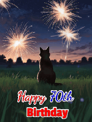 Happy Birthday Age 70 GIF, 70th Birthday GIF: An animated gif at night showing the backside of a sitting cat who watches sparkle and fireworks over a meadow. Customize name and happy birthday.