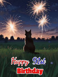 Happy Birthday Age 91 GIF, 91st Birthday GIF: An animated gif at night showing the backside of a sitting cat who watches sparkle and fireworks over a meadow. Customize name and happy birthday.
