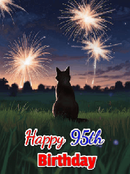 Happy Birthday Age 95 GIF, 95th Birthday GIF: An animated gif at night showing the backside of a sitting cat who watches sparkle and fireworks over a meadow. Customize name and happy birthday.