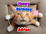 Happy Birthday Adrian GIF