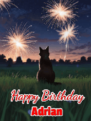 Happy Birthday Adrian GIF: An animated gif at night showing the backside of a sitting cat who watches sparkle and fireworks over a meadow. Customize name and happy birthday.