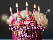 Happy Birthday Albert GIF