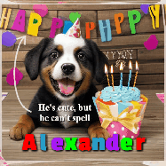Happy Birthday Alexander GIF