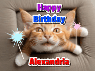 Happy Birthday Alexandria GIF