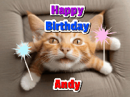 Happy Birthday Andy GIF