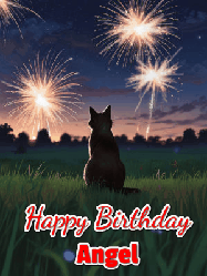 Happy Birthday Angel GIF: An animated gif at night showing the backside of a sitting cat who watches sparkle and fireworks over a meadow. Customize name and happy birthday.
