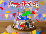 Happy Birthday Anita GIF: Happy Birthday Cake GIF with a cat, lamb, and squirrel on the cake with flickering candles, a sparkler, and falling confetti. Reads Happy Birthday Name and you can customize the name
