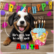 Happy Birthday Anita GIF