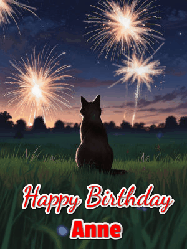 Happy Birthday Anne GIF: An animated gif at night showing the backside of a sitting cat who watches sparkle and fireworks over a meadow. Customize name and happy birthday.