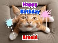 Happy Birthday Arnold GIF