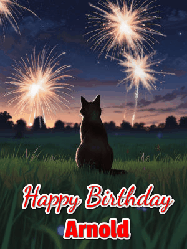 Happy Birthday Arnold GIF: An animated gif at night showing the backside of a sitting cat who watches sparkle and fireworks over a meadow. Customize name and happy birthday.