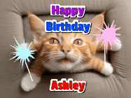 Happy Birthday Ashley GIF