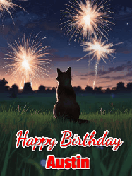 Happy Birthday Austin GIF: An animated gif at night showing the backside of a sitting cat who watches sparkle and fireworks over a meadow. Customize name and happy birthday.