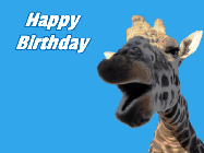 Happy Birthday Barb GIF