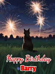 Happy Birthday Barry GIF: An animated gif at night showing the backside of a sitting cat who watches sparkle and fireworks over a meadow. Customize name and happy birthday.