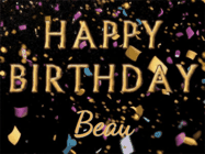 Happy Birthday Beau GIF