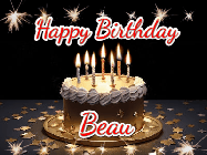 Happy Birthday Beau GIF