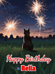 Happy Birthday Bella GIF: An animated gif at night showing the backside of a sitting cat who watches sparkle and fireworks over a meadow. Customize name and happy birthday.