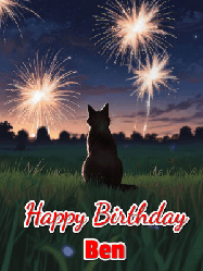 Happy Birthday Ben GIF: An animated gif at night showing the backside of a sitting cat who watches sparkle and fireworks over a meadow. Customize name and happy birthday.