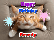 Happy Birthday Beverly GIF