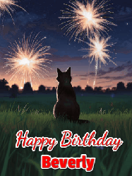 Happy Birthday Beverly GIF: An animated gif at night showing the backside of a sitting cat who watches sparkle and fireworks over a meadow. Customize name and happy birthday.