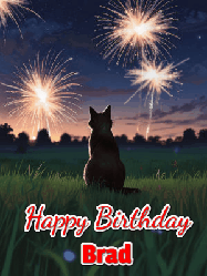 Happy Birthday Brad GIF: An animated gif at night showing the backside of a sitting cat who watches sparkle and fireworks over a meadow. Customize name and happy birthday.