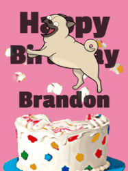 Happy Birthday Brandon GIF