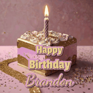 Happy Birthday Brandon GIF