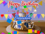 Happy Birthday Brandon GIF: Happy Birthday Cake GIF with a cat, lamb, and squirrel on the cake with flickering candles, a sparkler, and falling confetti. Reads Happy Birthday Name and you can customize the name
