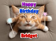 Happy Birthday Bridget GIF