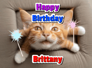 Happy Birthday Brittany GIF