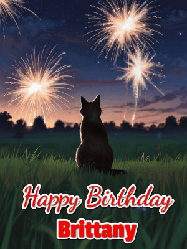 Happy Birthday Brittany GIF: An animated gif at night showing the backside of a sitting cat who watches sparkle and fireworks over a meadow. Customize name and happy birthday.