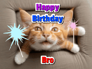 Happy Birthday Bro GIF