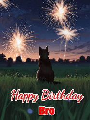 Happy Birthday Bro GIF: An animated gif at night showing the backside of a sitting cat who watches sparkle and fireworks over a meadow. Customize name and happy birthday.