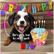 Happy Birthday Bro GIF