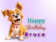 Happy Birthday Bruce GIF