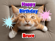 Happy Birthday Bruce GIF