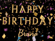 Happy Birthday Bruno GIF