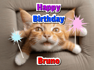 Happy Birthday Bruno GIF