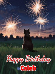 Happy Birthday Caleb GIF: An animated gif at night showing the backside of a sitting cat who watches sparkle and fireworks over a meadow. Customize name and happy birthday.