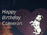 Happy Birthday Cameron GIF: Happy Birthday GIF at night with a cute drawn dog, floating balloons, and a shooting star in front of a heart shaped star formation.